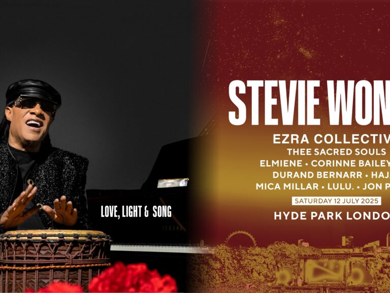 Stevie website 1
